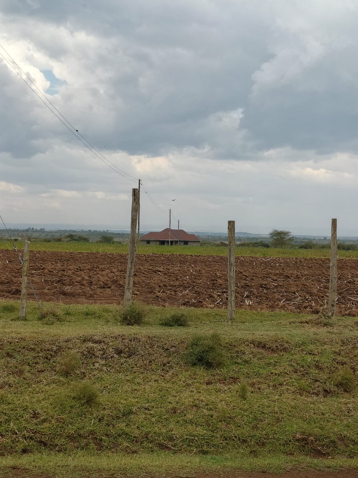 Katakala plot thumbnail 2